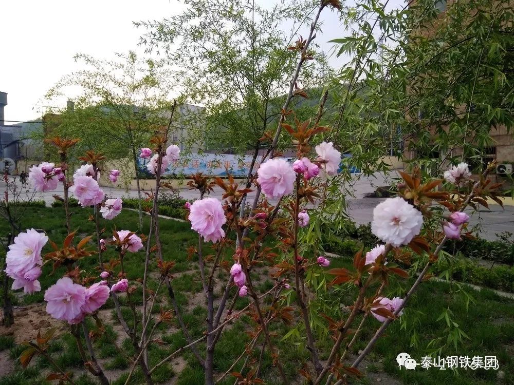 2017年年终回顾之能源环保篇