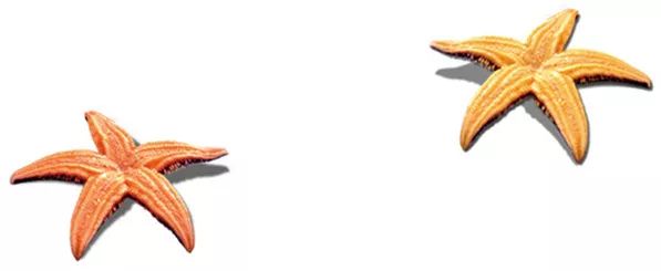 新闻资讯|省经信委来泰山钢铁集团调研